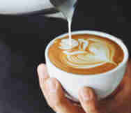 Cafe For Sale in Caulfield Melbourne VIC 