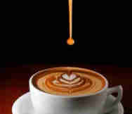 Cafe For Sale in Adelaide SA 