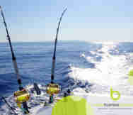 Transport Business For Sale in AUK 