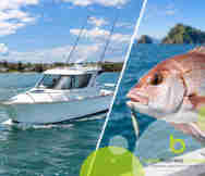 Transport Business For Sale in AUK 