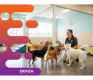 Animals And Pets Business For Sale in Joondalup Perth Wa 