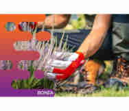 Florist For Sale in Maleny Sunshine Coast Qld 