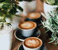 Cafe For Sale in Sydney NSW 
