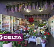Florist For Sale in Doncaster East Melbourne VIC 