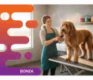 Animals And Pets Business For Sale in Caulfield Melbourne Vic 