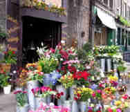 Florist For Sale in Ormond Melbourne VIC 