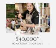 Cafe For Sale in Sydney Cbd Sydney NSW 