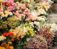 Florist For Sale in Ryde Sydney NSW 