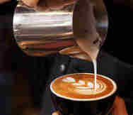 Food Related Businesses in Sydney NSW 