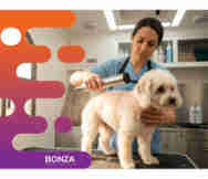 Animals And Pets Business For Sale in Brisbane Qld 