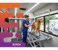 Animals And Pets Business For Sale in Brisbane Qld 