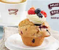 Franchise For Sale in Melbourne VIC 
