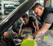 Auto Electrical Business For Sale in AUK 