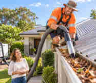 Service Business For Sale in Buddina Sunshine Coast QLD 