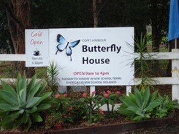 Coffs Harbour Butterfly House