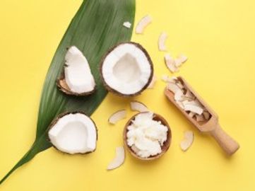 Online Coconut Product Supplies Business