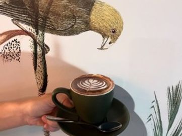 Sweetbrew & Co  Cafe with Bar Setup