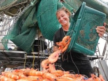 Seafood Distribution – 3 Days Only, Strong Community Following