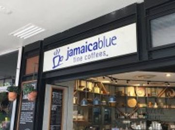 Own a Gold Coast Powerhouse! Jamaica Blue Robina