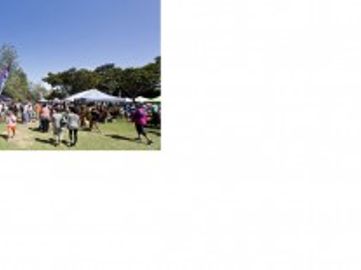 Market Marvels for Sale!