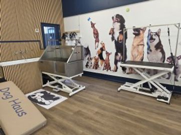 Rewarding Dog Day Care & Grooming Business for Sale – Prime Stanmore, NSW Location – High Foot Traffic – Brand New Fit-Out – New Equipment –Ample Parking – Active Social Media – Huge Growth Opportunity – Asking Price: $ 35,000