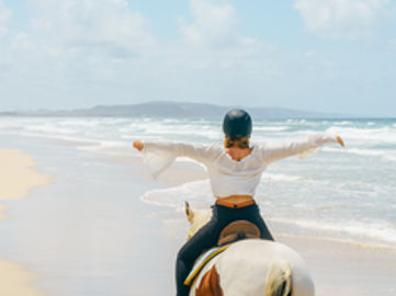 Award-Winning Noosa Tourism Business for Sale – Iconic Beach Horse Riding Experience (SOLD)