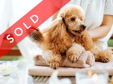 SOLD Doggy Daycare & Grooming Busines