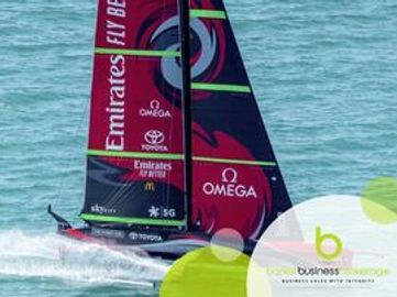 Sustainable Profit, Growth, Recurring Revenue, Government Backed Success