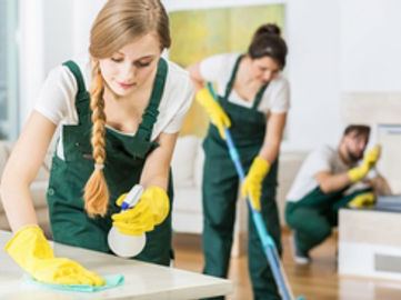 Long-Standing Cleaning Services Business for Sale in Noosa Heads