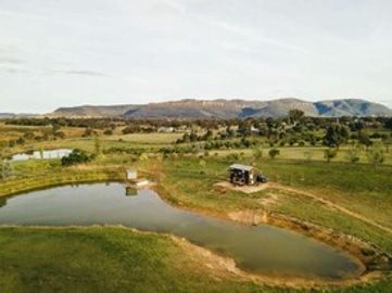 Lifestyle Business in the Mudgee Wine Region