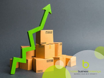 Eco-Friendly Online Business - A Turnkey Opportunity with Growth Potential
