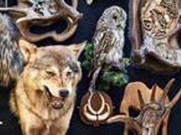 Premier Australian Taxidermy Supplies Business - AF1522