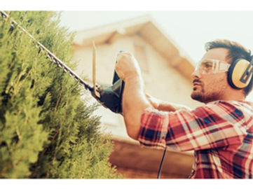 20264 Hedge Trimming Business - REDUCED FOR QUICK SALE