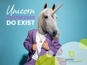 Flexible, Profitable Web Design & Hosting Business - Fully Remote