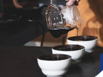 Lower North Shore Cafe for Sale  No Competition 10 Year Lease