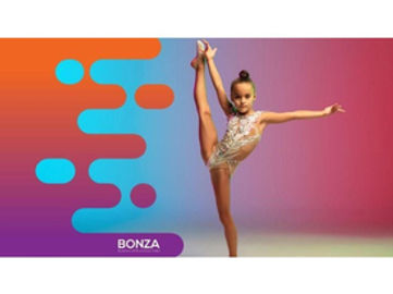 35622 Profitable Online Dance & Performance Retailer  16+ Years of Success