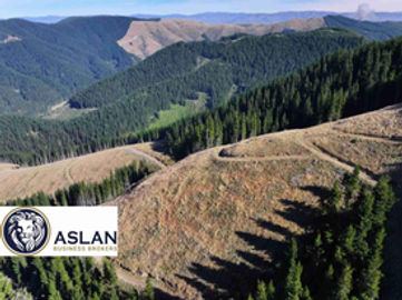 LAND FOR SALE IN NEW ZEALAND