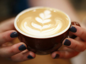 Premium Specialty Coffee Cafe – Prime Port Douglas Location