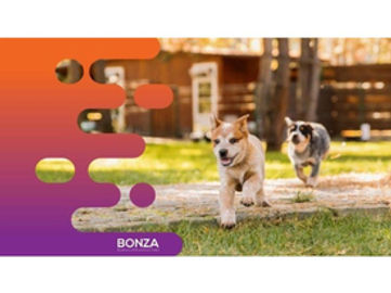 36113 - PROFITABLE DOG DAYCARE & GROOMING BUSINESS