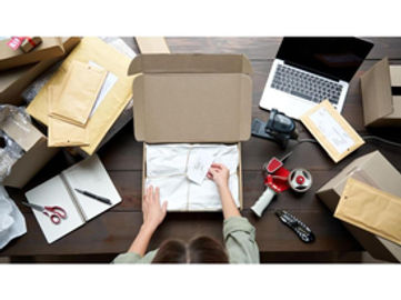 33059 - 33059 Popular & Sustainable Online Childrens Toy & Equipment Business