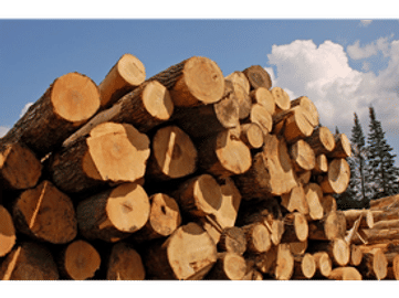 MARKHAM TIMBER FOR SALE
