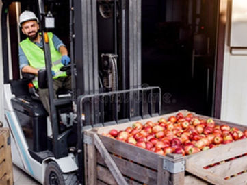 Profitable Fresh Produce Wholesale Business - 5869