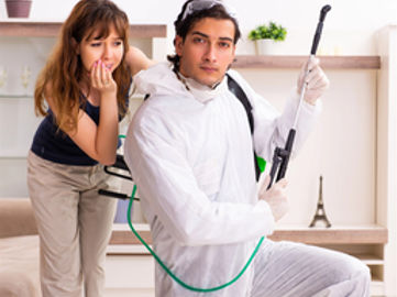 Pest Control Business,  Reputable Brand, Solid Profits, Loyal Clients