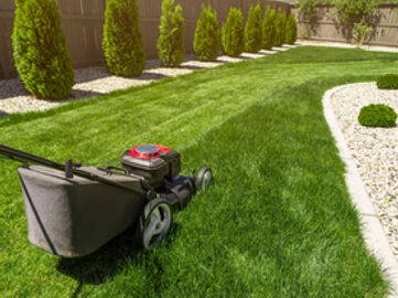 Property Maintenance & Landscaping Business - 5874