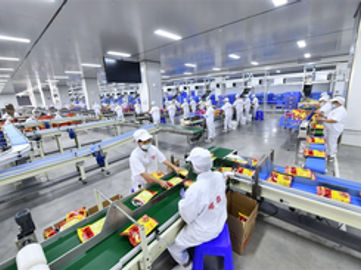 Established Food Manufacturing Business - Over 10 Years of Proven Success