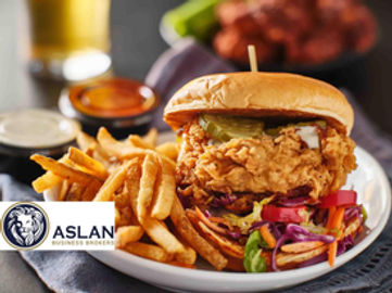 BURGER & FROZEN YOGURT BAR BUSINESS FOR SALE