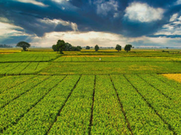 Global Leader in Broadacre Farming Machinery - 80% Sale 5898