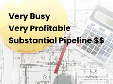 Very Busy, Very Profitable Specialist Contractor