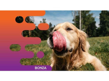 36479 Established Pet Food Manufacturing Business - Growing Market