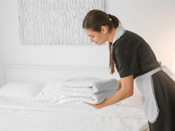 Prime Positioned and Established Motel and Freehold - Ref: 14268